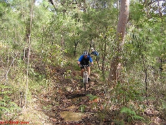 20080420-ONR 116 